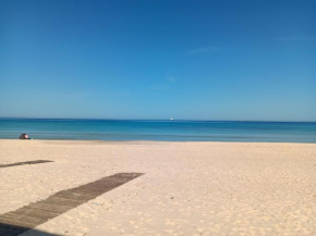 Beach Property